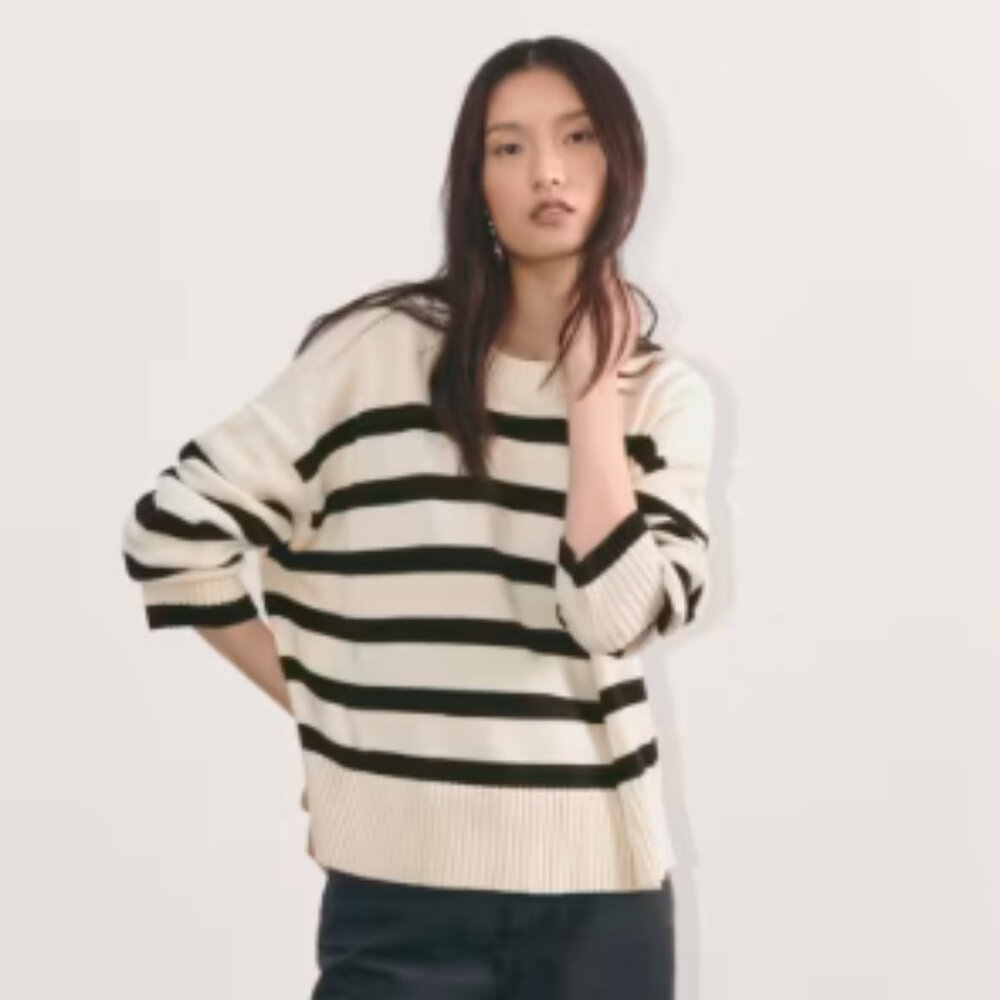 Everlane - The Boxy Sweater in Everyday Cotton NWT